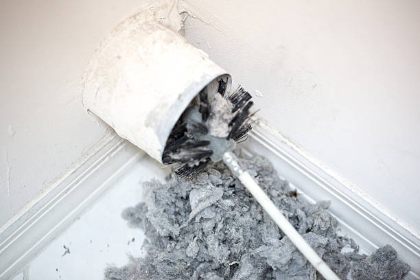 Best Air Duct Mold Removal  in New Cassel, NY